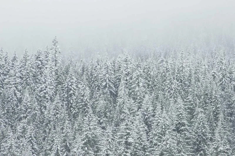 Brume matinale sur les collines boisées du Limousin avec une chapelle de pierre au loin
