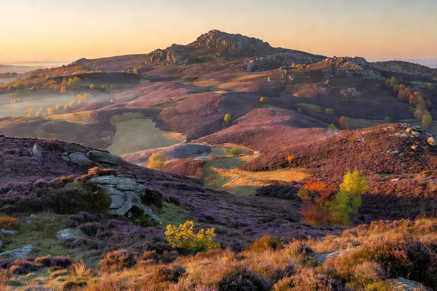 Panorama du massif des Monédières au lever du soleil avec landes de bruyère mauve en Corrèze
